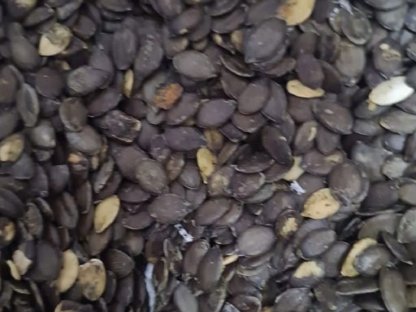 Bild 2:Kürbiskerne