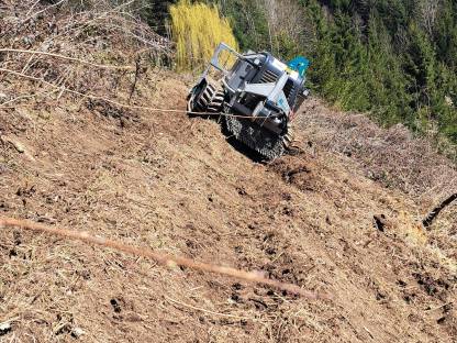 Bild 6:Forstfräsung, Schlegeln, Forstunterstützung, Transport