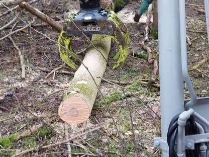 Bild 2:Baggerungen und Forstarbeit