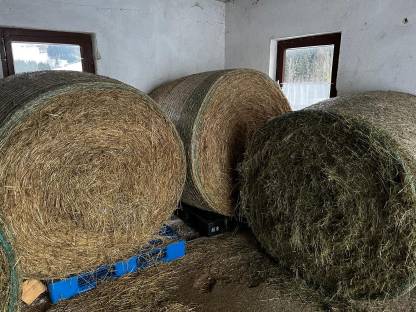 Heurundballen 1. & 2. Schnitt