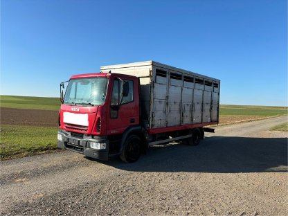 LKW Iveco mit Viehaufbau Eurocargo