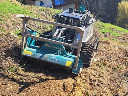 Bild 7:Forstfräsung, Schlegeln, Forstunterstützung, Transport