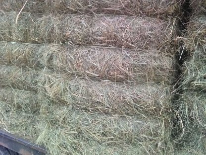 Bild 5:Heu QB70ER - Rundballen