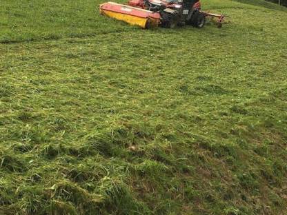 Bild 4:Diverse Mulch- und Mäharbeiten