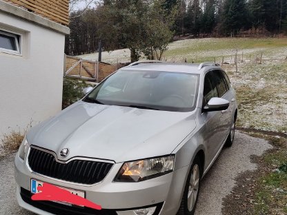 Bild 2:Skoda Octavia 4x4