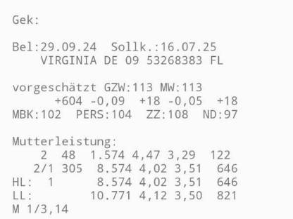 Verkaufe trächtige Fleckviehkalbin