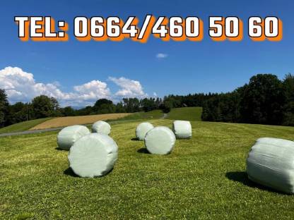 Silageballen Ernte 2024