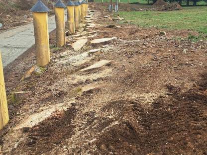 Bild 3:Forstfräsung, Schlegeln, Forstunterstützung, Transport