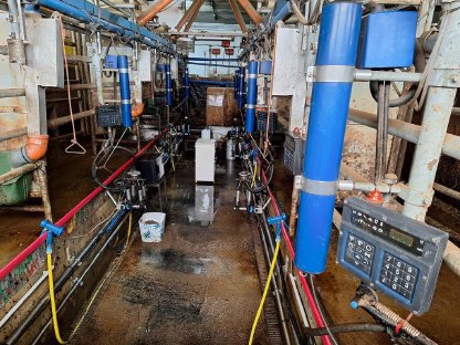 Bild 2:DeLaval Melkstand Doppel 4er AUTO Tandem