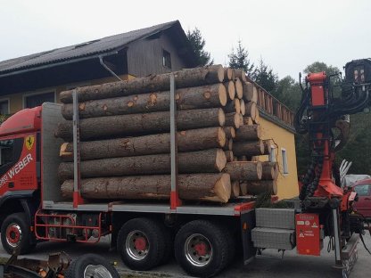 Bild 3:Holztransporter IVECO Trakker 6x6