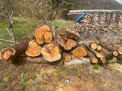 Birnenbloch zu verkaufen