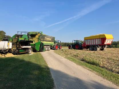 Bild 3:Maisballen sowie Silomais lose abzugeben