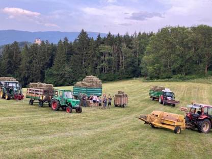 Bild 3:Kleine Heuballen