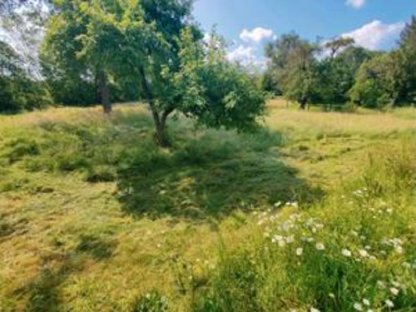 Suche Wiese, Bauplatz, Garten oder Streuobstwiese