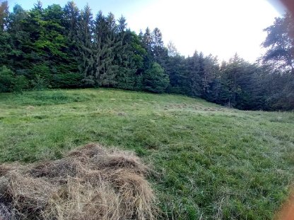 Bild 3:Pachtfläche