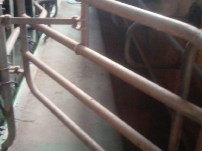 Bild 6:Melkstand Vakuumpumpe Westfalia