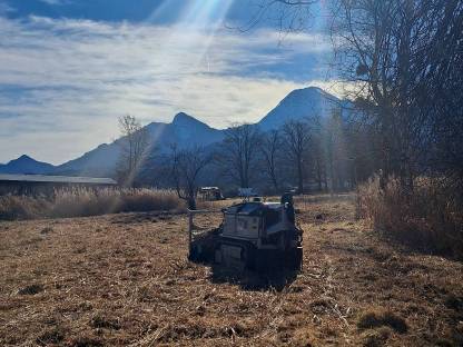 Bild 8:Forstfräsung, Schlegeln, Forstunterstützung, Transport