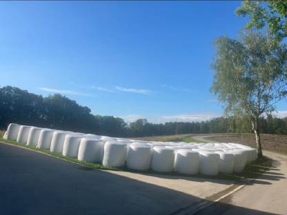 Bild 4:Maisballen sowie Silomais lose abzugeben