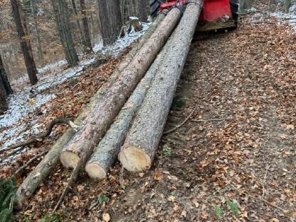 Forstarbeiten Raum Graz Umgebung