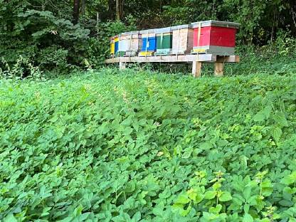 Verkaufen Wirtschaftsvölker