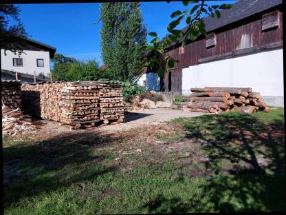 Bild 2:Brennholz