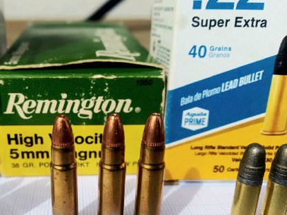 Bild 2:Fuchsschreck Remington 591 5 mm Rem Mag