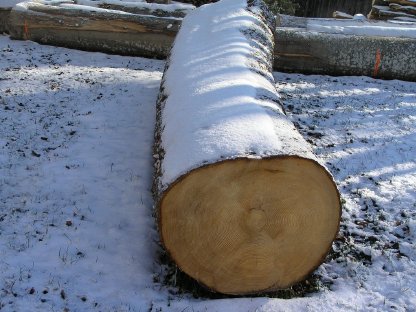 Tannenblock für Brunntrog