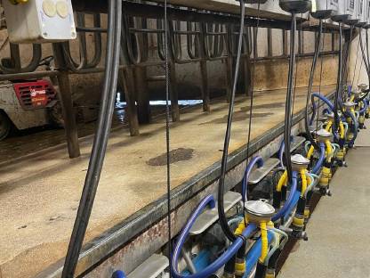 DeLaval 1x8 Side-by-Side Melkstand