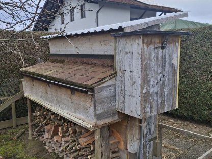 2 ältere Meerschweinchen-Damen mit Stall zu verschenken