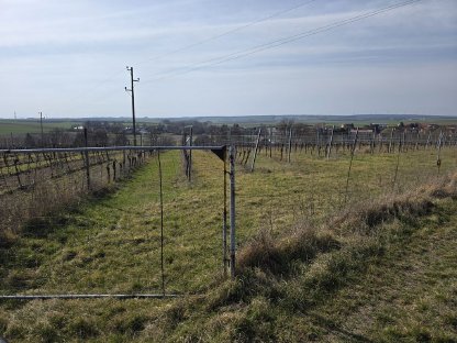 Bio-Grundstück ideal für Weingarten oder Obstbäume