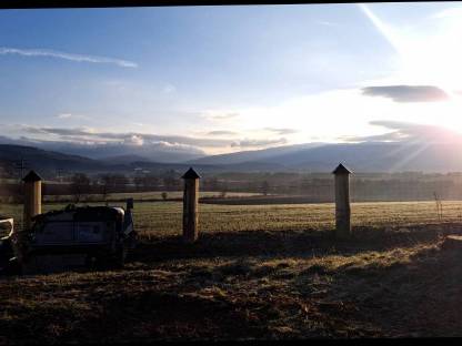 Bild 2:Forstfräsung, Schlegeln, Forstunterstützung, Transport