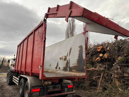 Bild 3:Container Abrollmulde ca. 36 m³