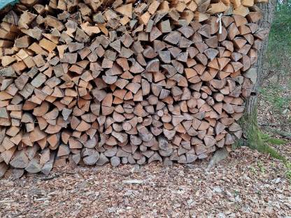 Bild 2:Getrocknetes Brennholz