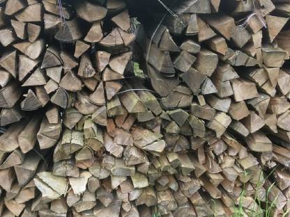 Brennholz Buche 1 m