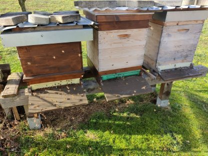 Wirtschaftsvolk auf Jumbo im OÖ Zentralraum