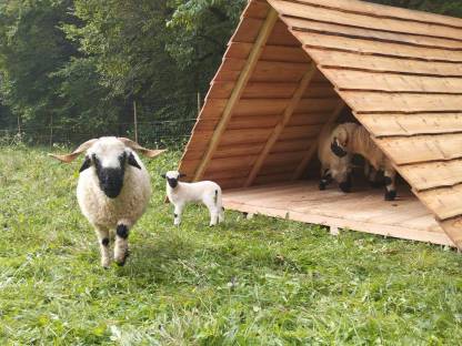 Weideunterstand, Weidehütte - Zustellung und Aufbau möglich