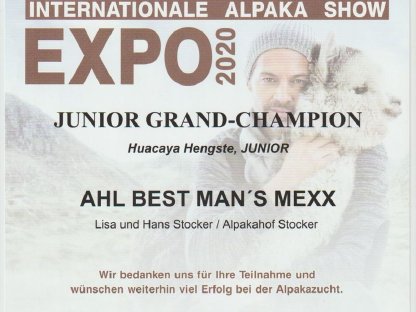 Bild 9:Alpaka Deckservice, Alpaca Zuchthengst, Deckhengst