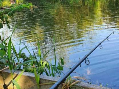 Suchen Fischteich zu pachten