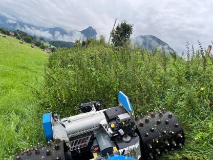 Bild 3:Mäh- und Mulcharbeiten