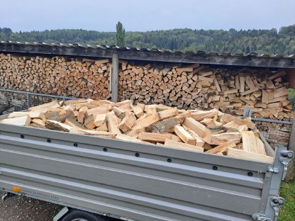 Verkaufe Buchen Brennholz, Länge 33 cm