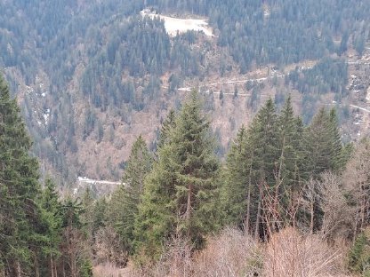 Waldgrundstück in Aigen im Ennstal mit 7,6 ha