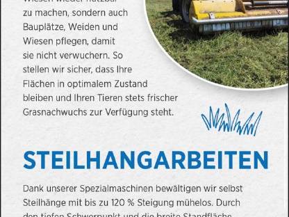 Bild 8:Diverse Mulch- und Mäharbeiten