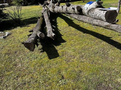 Holz spalten