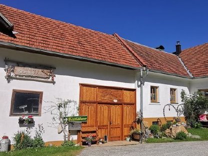 Gemüseacker und Wohnung am Biohof zu vermieten