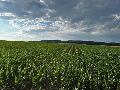 Suche Acker oder Landwirtschaft