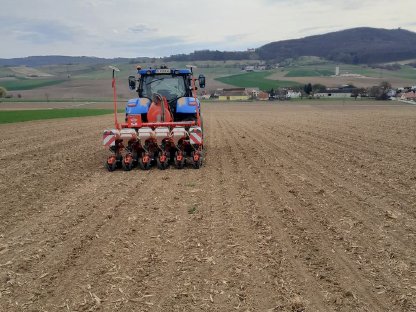 Bild 4:Einzelkornaussaat