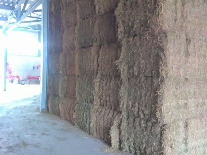 Bild 6:Heu QB70ER - Rundballen