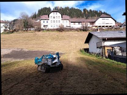 Bild 9:Forstfräsung, Schlegeln, Forstunterstützung, Transport