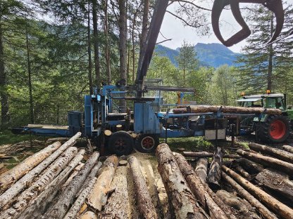 Holzspalter zu verkaufen, Posch K550 Nachbau