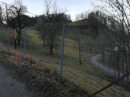 1 ha Weidefläche für Damwild oder Schafe zu verpachten